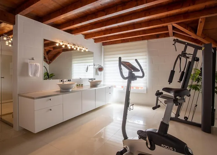 ヴィラ Luxury Nieve *